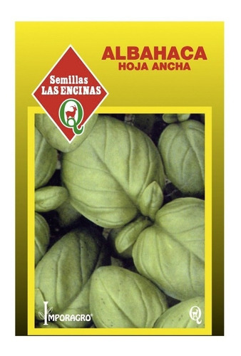 Semillas De Albahaca Hoja Ancha