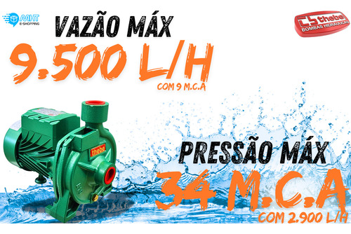 Bomba Centrifuga Thebe B-15 1.5cv Monofásico Cor Verde