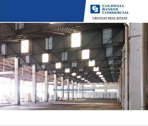 Depósito Para Industria O Logística Batlle Berres Venta Alquiler