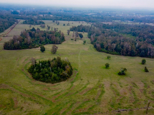 Imagen 3 de 13 de Campo Subdividido De 49,2ha - Villarrica