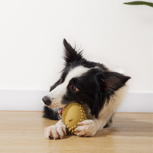 Cw Juguete Masticable Para Perros Chirriantes Juguete