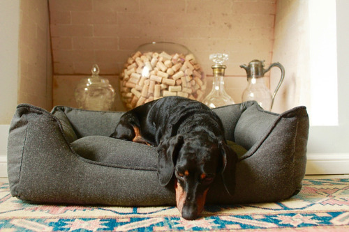 Imagen 2 de 5 de Cama Para Perro Toy Clásico 70 X 50 Cm