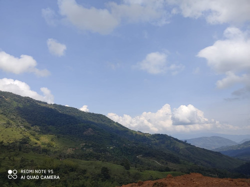 Venta De Lotes En Cocorná, Antioquia