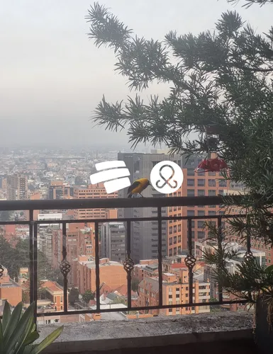 Apartamento En Venta En Bogotá, Chapinero