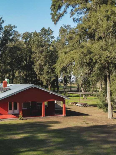 Tres Pinos - Lote 1000mts Barrio Polo - Oportunidad En Pesos