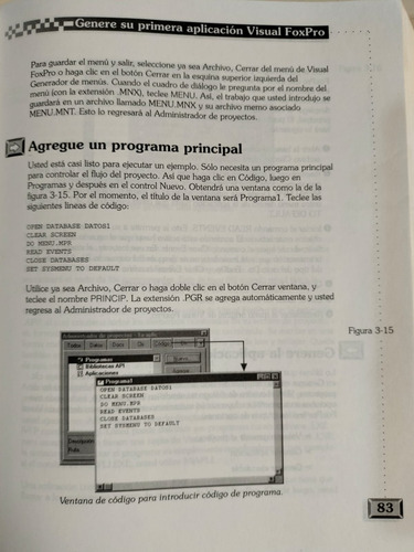 Visual Foxpro Manual De Programación - L. Pinter / J. Pinter (Usado)