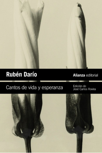 Libro Cantos De Vida Y Esperanza - Dario, Ruben