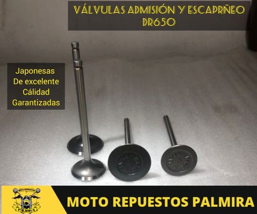 Imagen 1 de 1 de Válvulas Admisión Y Escape Suzuki Dr650 Japonesas