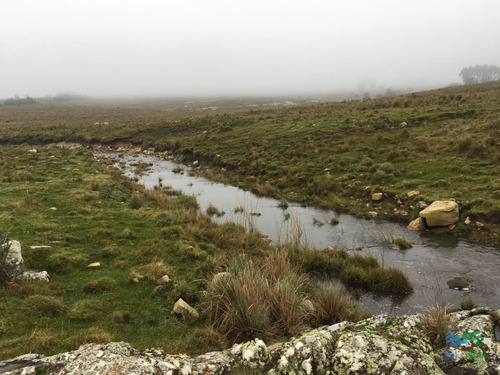 193 Has Sobre Ruta 12, Arroyo, Monte Nativo A 15 Kms De P. Edén