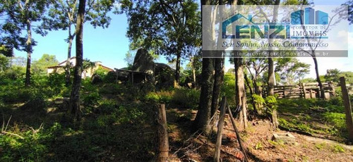 Imagem 7 de 25 de Sítios À Venda Em Toledo/mg - Compre O Seu Sítios Aqui! - 1491448