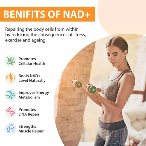Liposomal Nad+ De 500 Mg Alta Absorcion 60 Capsulas Orgabay Sabor Sin Sabor