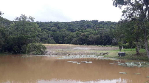 Imagem 4 de 15 de Sítio / Chácara Para Venda Em Paranaguá, Zona Rural, 6 Dormitórios, 3 Banheiros, 1 Vaga - 57_2-1158859