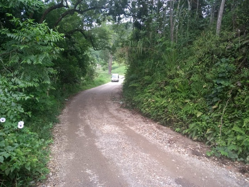 Imagem 16 de 30 de Fazenda - Fa00003 - 34856184
