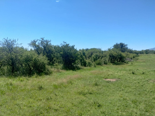 Terreno En Los Molles, Merlo, San Luis De 1600 M²