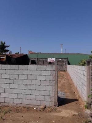 Ótimo Terreno De Frente Para A Rodovia - Itanhaém 6342 | Npc
