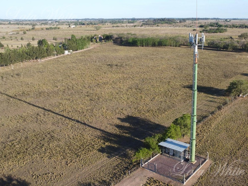 Imagen 8 de 10 de Venta - 7 Hectáreas En Canning