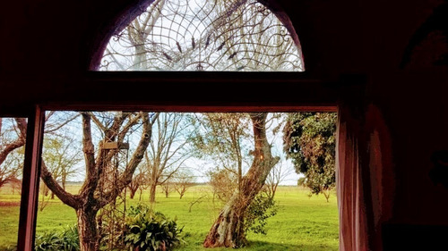Campo En Venta En Capitán Sarmiento