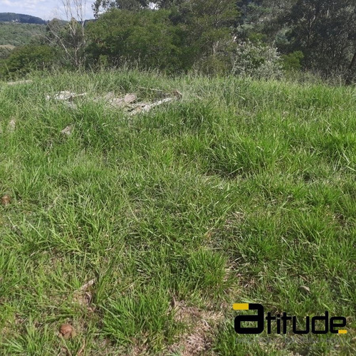 Imagem 6 de 9 de Terreno No Condomínio Reserva Santa Anna - 4526