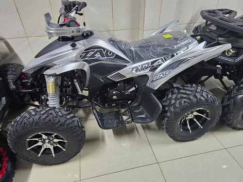 Imagen 19 de 21 de Cuatrimoto Predator 250cc Deportiva Mecanica 16hp. 0 Kl 2023