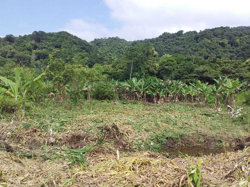 Imagem 1 de 5 de Terreno Na Praia Em Mongaguá Área De Chácara Ref.468