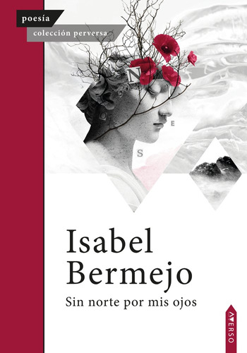 Libro Sin Norte Por Mis Ojos - , Bermejo, Isabel