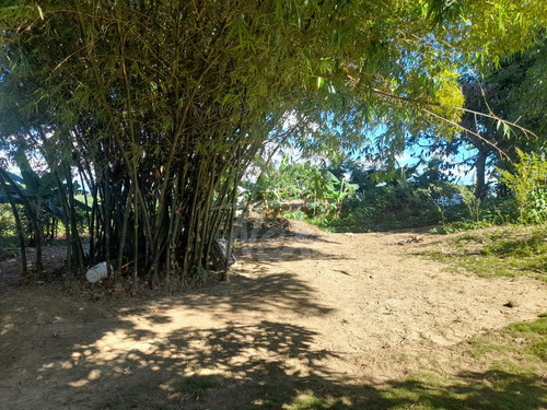 Finca Disponible, Casa Principal, Local Comercial, Casa De Capataz Y Gran Terreno Sembrado De Plátanos, Yuca, Naranjas Y Otros (jpc-232)