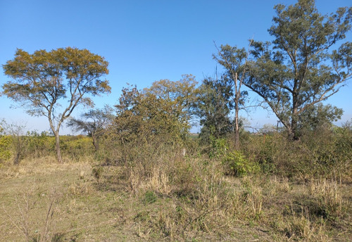 Flores Propiedades Vende Finca La Aguadita 7,27 Has. (a 200 Mts. Aproxim. De La Agrupacion Gaucha Gregorio Araoz De Lamadrid).