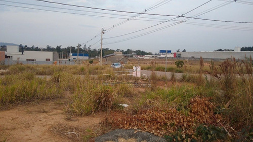 Imagem 5 de 5 de Terreno - Rio Maina - Ref: 34847 - V-34844