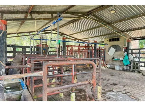 Gran Finca Ganadera, Meta