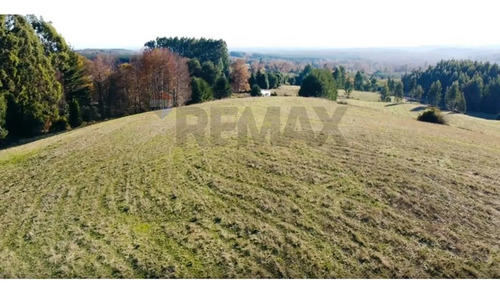 Terrenos 5.000 M² Cerca De Corralco, Curacautín.
