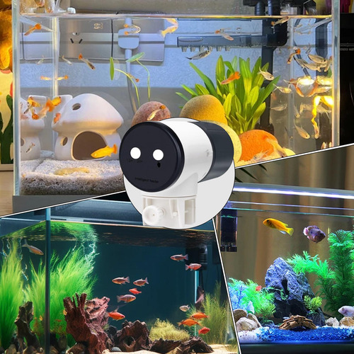 Alimentador Automático De Peces Alimentador Automático De Pe