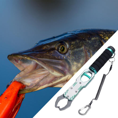 Pescado Con Labios Con Soporte De Pescado A En Caja Gris