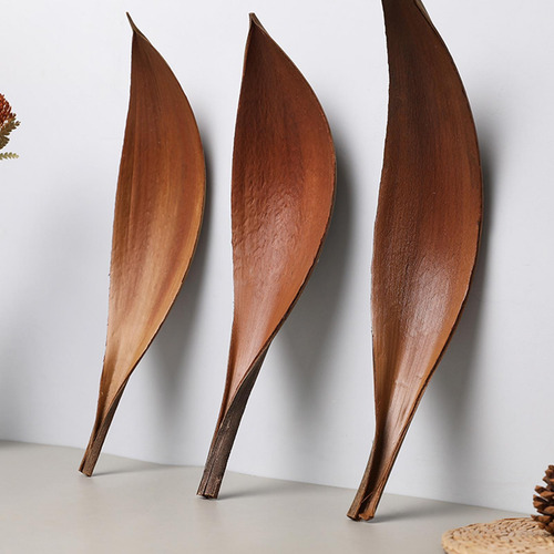 Paletas De Palma Secas Hojas De Cacao Arreglos Florales Deco