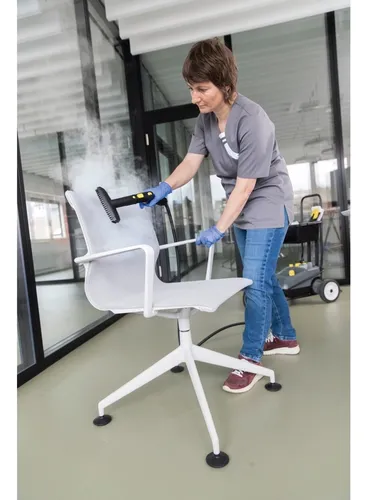 Vaporizador Profesional Karcher Sg 4/4 Eu