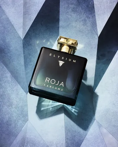 Perfume Roja Parfums Elysium Pour Homme 100ml | Frete grátis