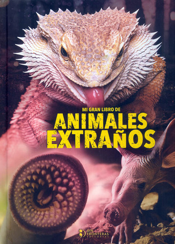 Mi gran libro de animales extraños, de Varios autores. Serie 6287544802, vol. 1. Editorial SIN FRONTERAS GRUPO EDITORIAL, tapa dura, edición 2023 en español, 2023