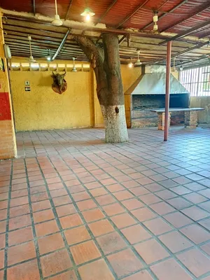 Local en alquiler