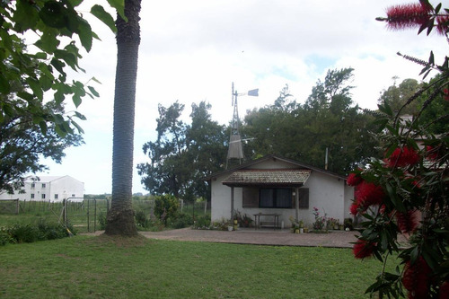 Imagen 6 de 30 de Campo En Venta En Arditti | Ruta 11-km.57 (110 Has)
