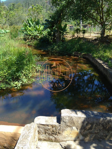 Imagem 20 de 25 de Ótimo Sítio No Pedra Branca Em Monteiro Lobato/sp - 4608