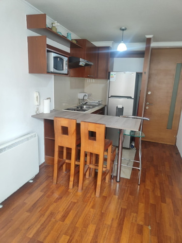 Departamento / San Isidro / Marín / 1 Dorm / Estacionamiento