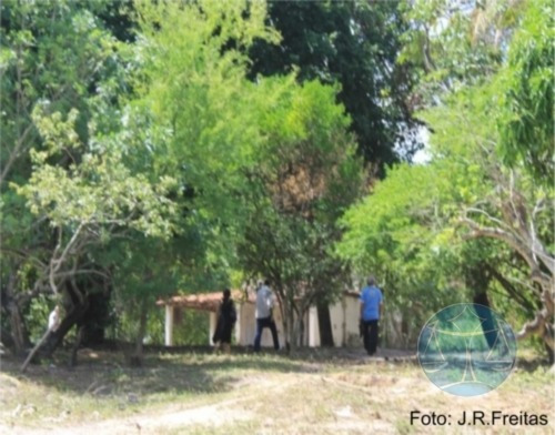 Imagem 3 de 9 de 3.8 Hectares Em Zona Urbana De Parnamirim - V-7555