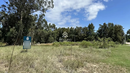 Terreno En Marly 1497m2 - Punta Del Este