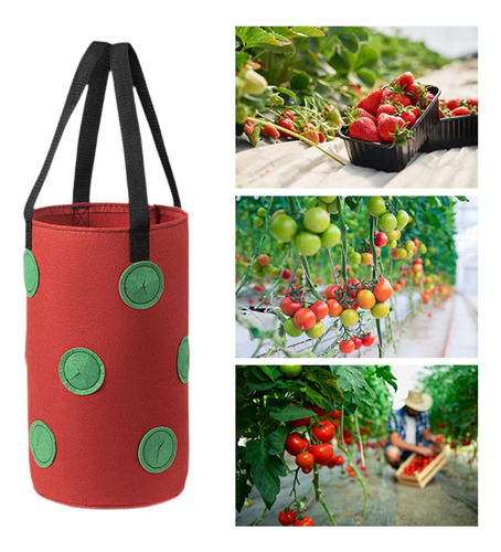 Bolso De Plantador Colgante Bolsas De De Fresa Rojo
