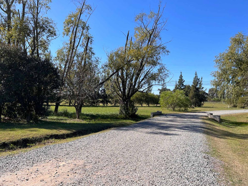Imagen 26 de 30 de Venta Lote Central - Medal C.c Con Vista Al Golf