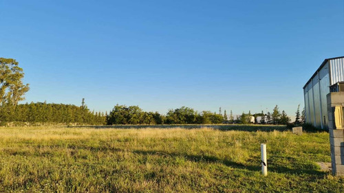 Venta Lote Polo Industrial De Ezeiza, Muy Buena Ubicación