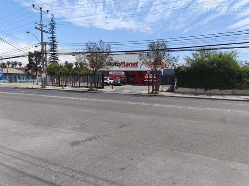 Sitio En Venta En Peñaflor