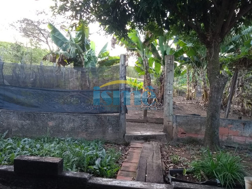 Imagem 7 de 13 de Chácara No Guará Em Barão Geraldo 3120m². - Ch00286 - 69819240