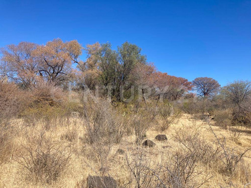 Terreno En Venta, Cardenchos, Nixtalpan, Nombre De Dios, Durango México