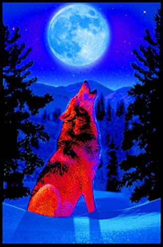 Póster De Estudio B Wolf Moon - Flocked - 24  X 36 