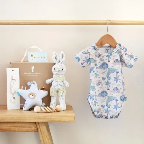 Ropa para bebes recien nacidos cheeky sale
